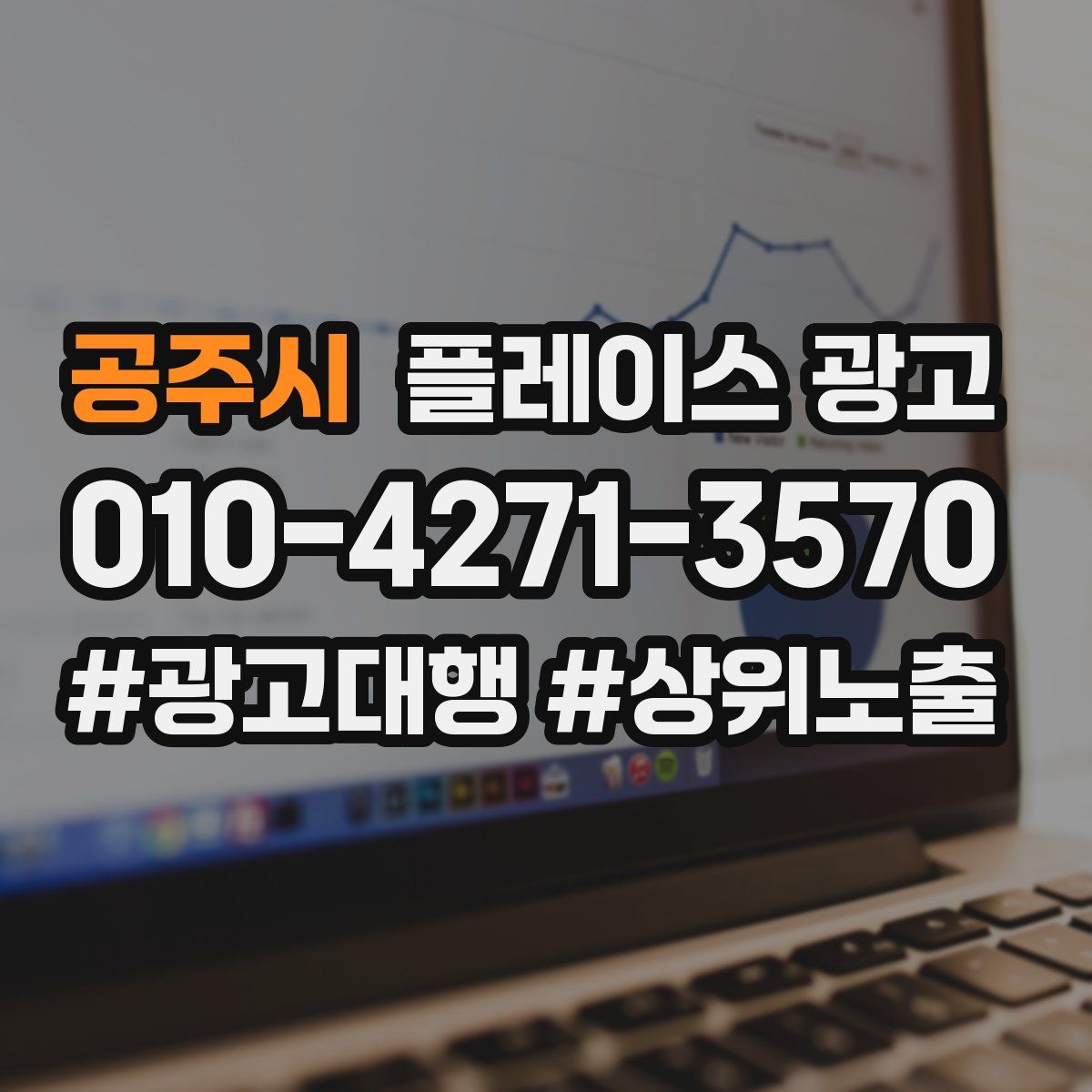 공주시 플레이스 광고