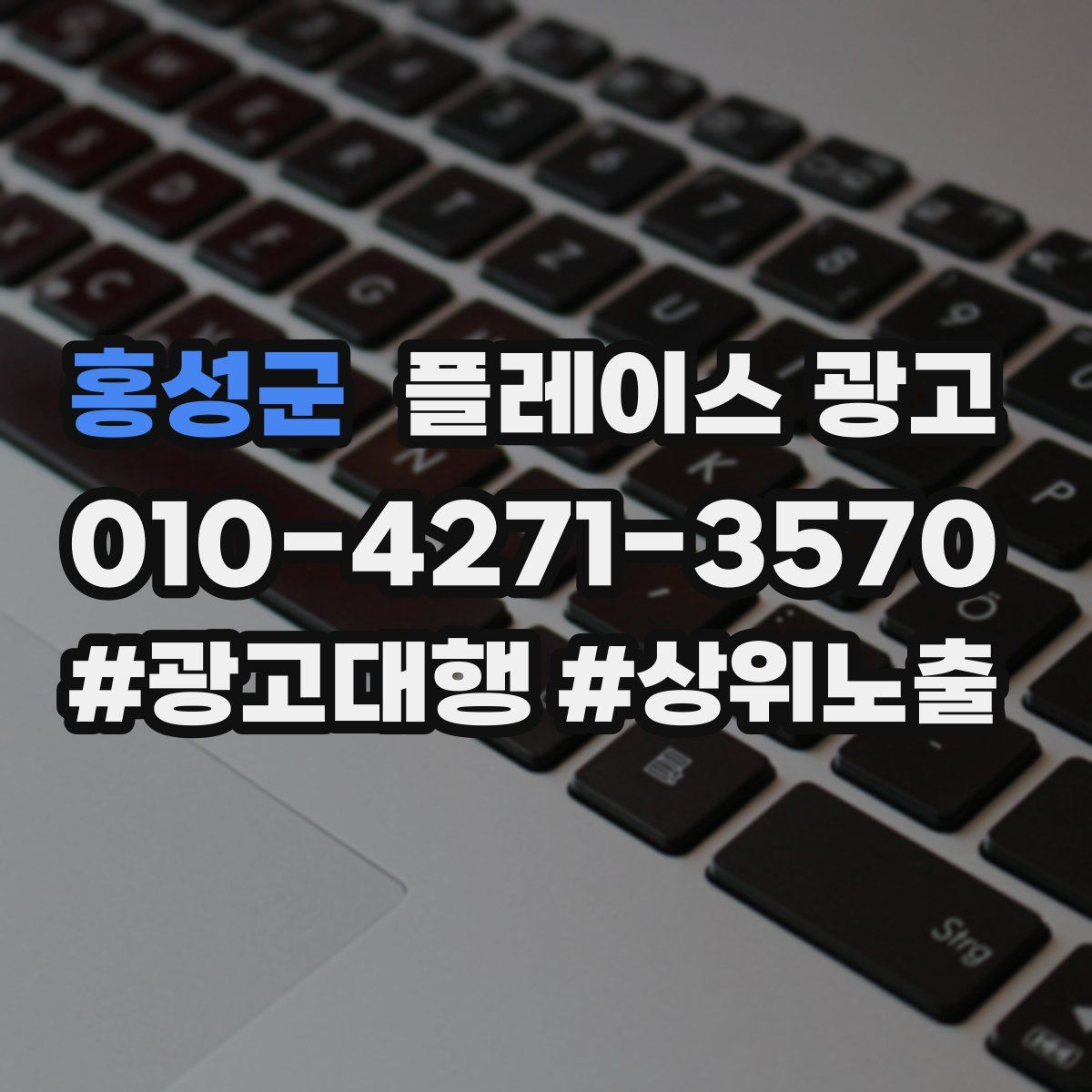 홍성군 플레이스 광고