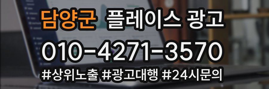 담양군 플레이스 광고