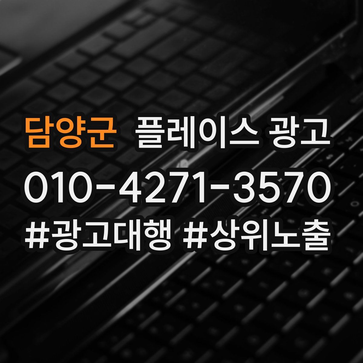 담양군 플레이스 광고