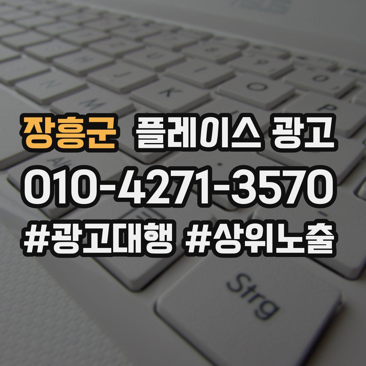 장흥군 플레이스 광고