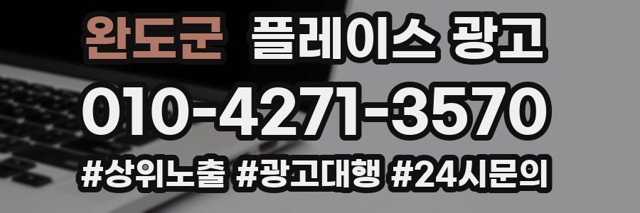 완도군 플레이스 광고