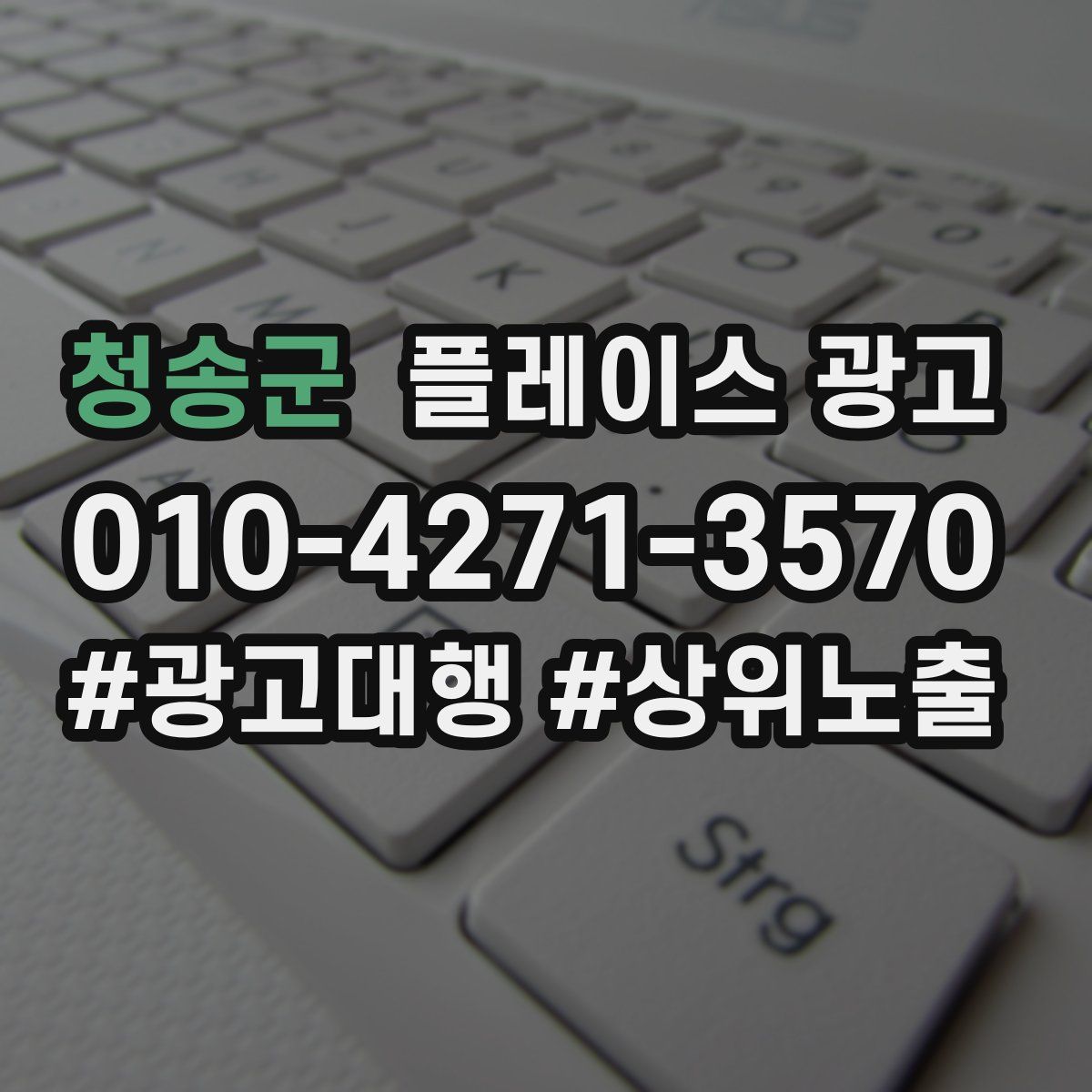 청송군 플레이스 광고