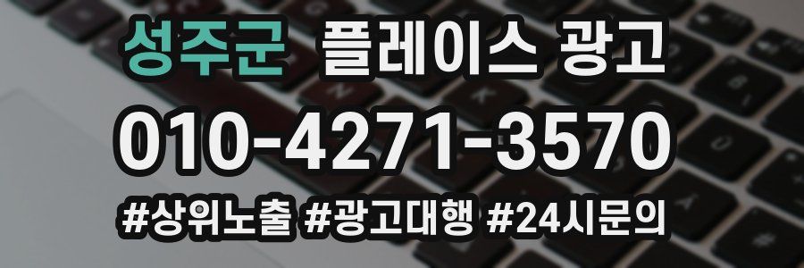 성주군 플레이스 광고