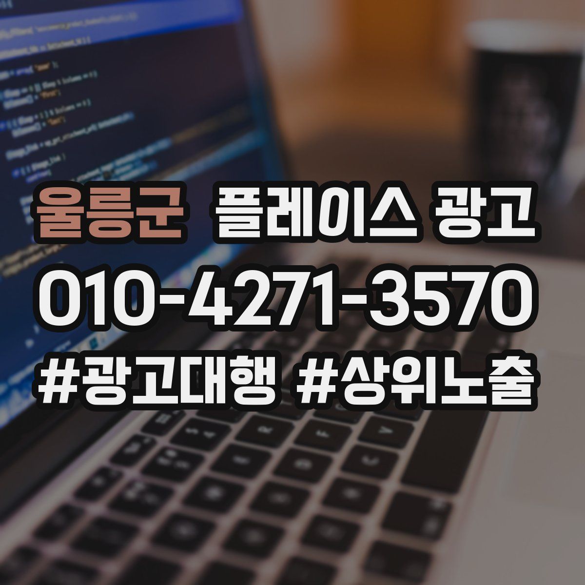 울릉군 플레이스 광고