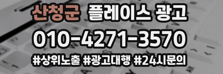 산청군 플레이스 광고