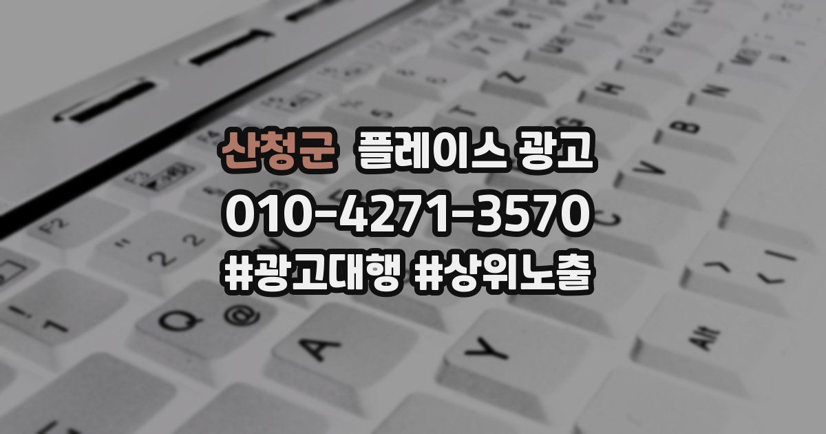산청군 플레이스 광고