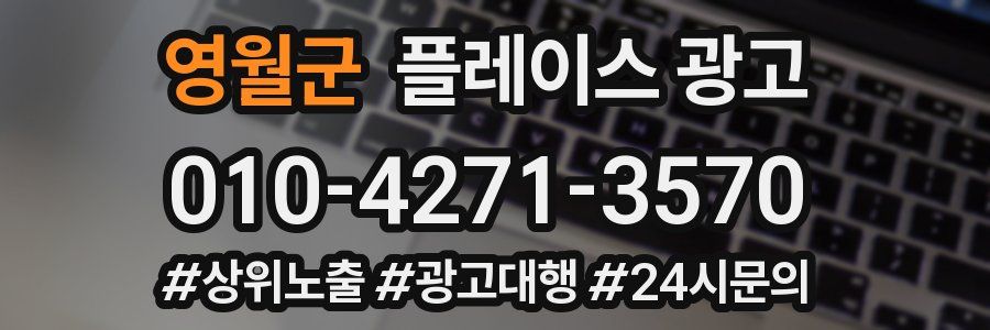 영월군 플레이스 광고