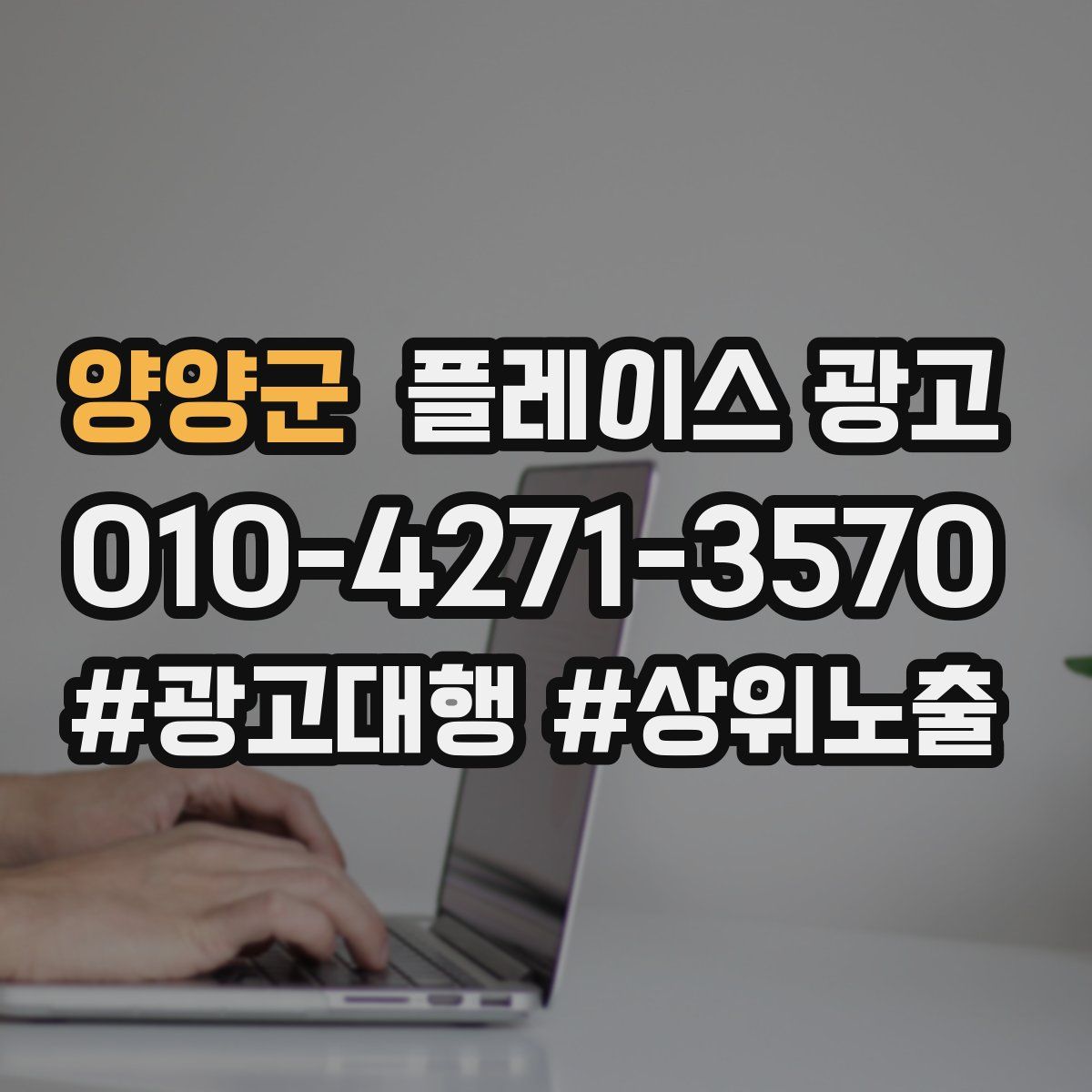 양양군 플레이스 광고