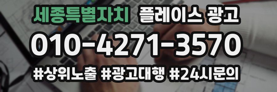 세종특별자치 플레이스 광고