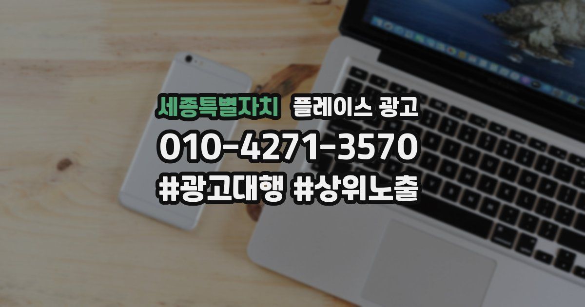 세종특별자치 플레이스 광고