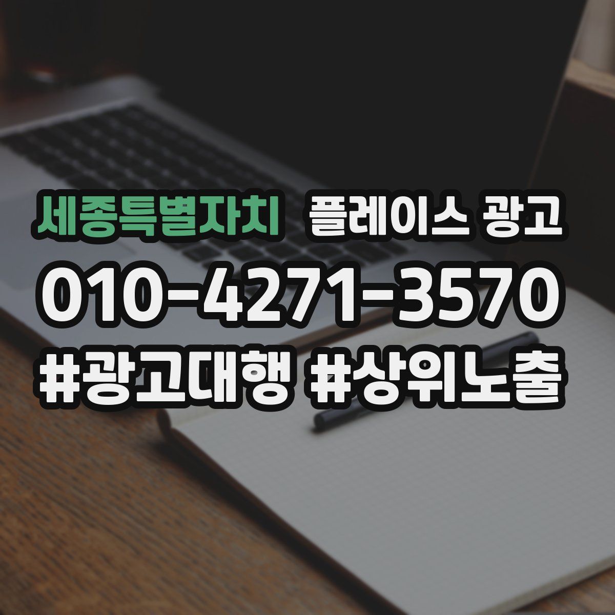 세종특별자치 플레이스 광고