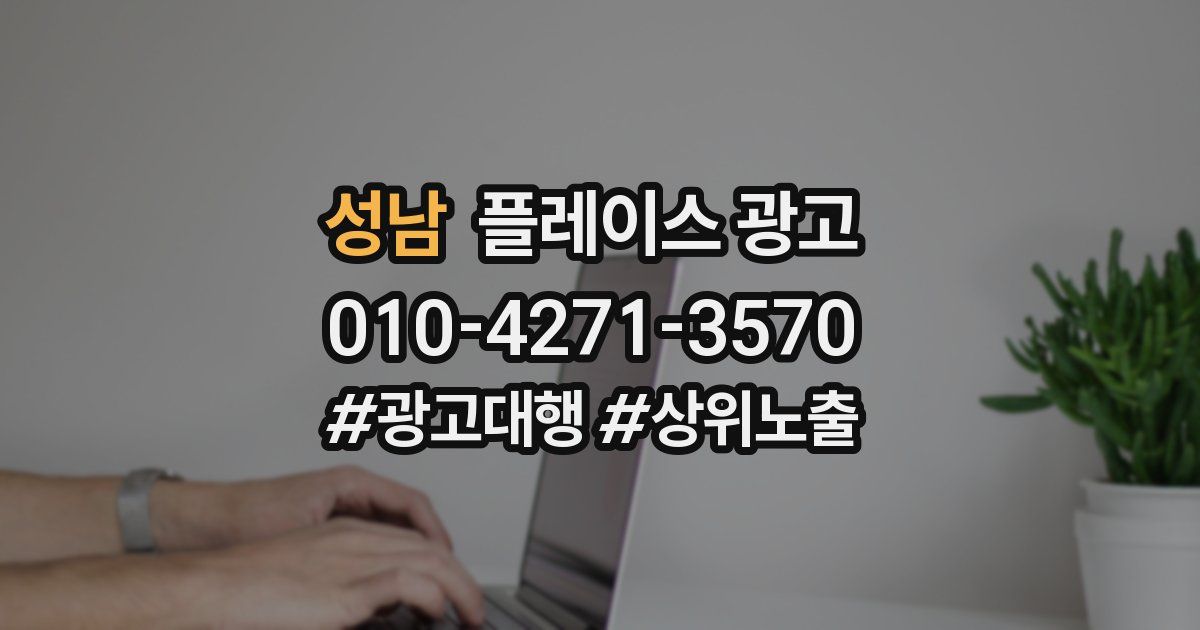 성남 플레이스 광고