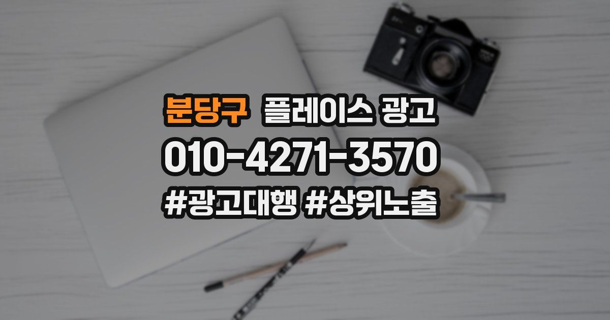 분당구 플레이스 광고