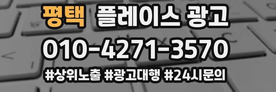 평택 플레이스 광고