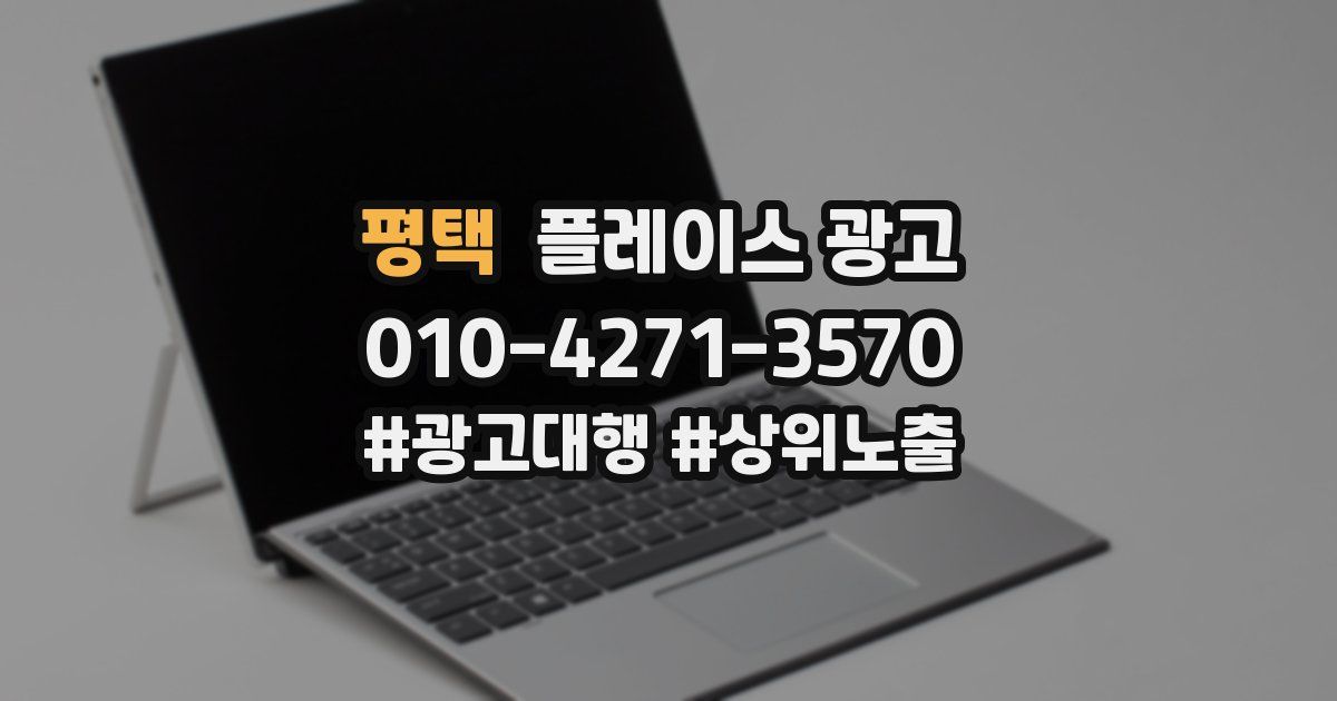 평택 플레이스 광고