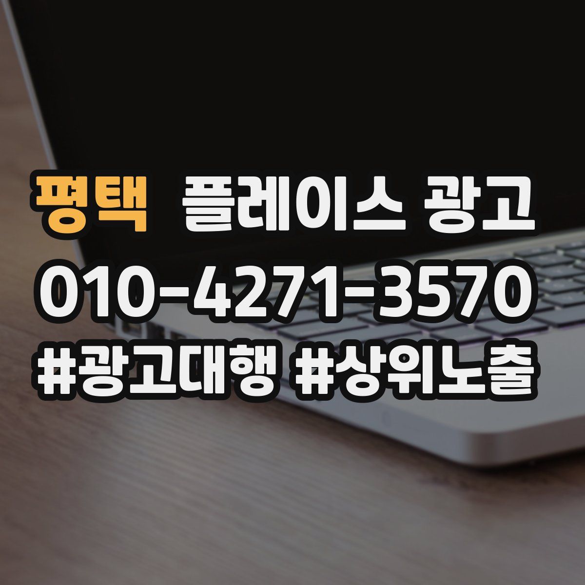 평택 플레이스 광고