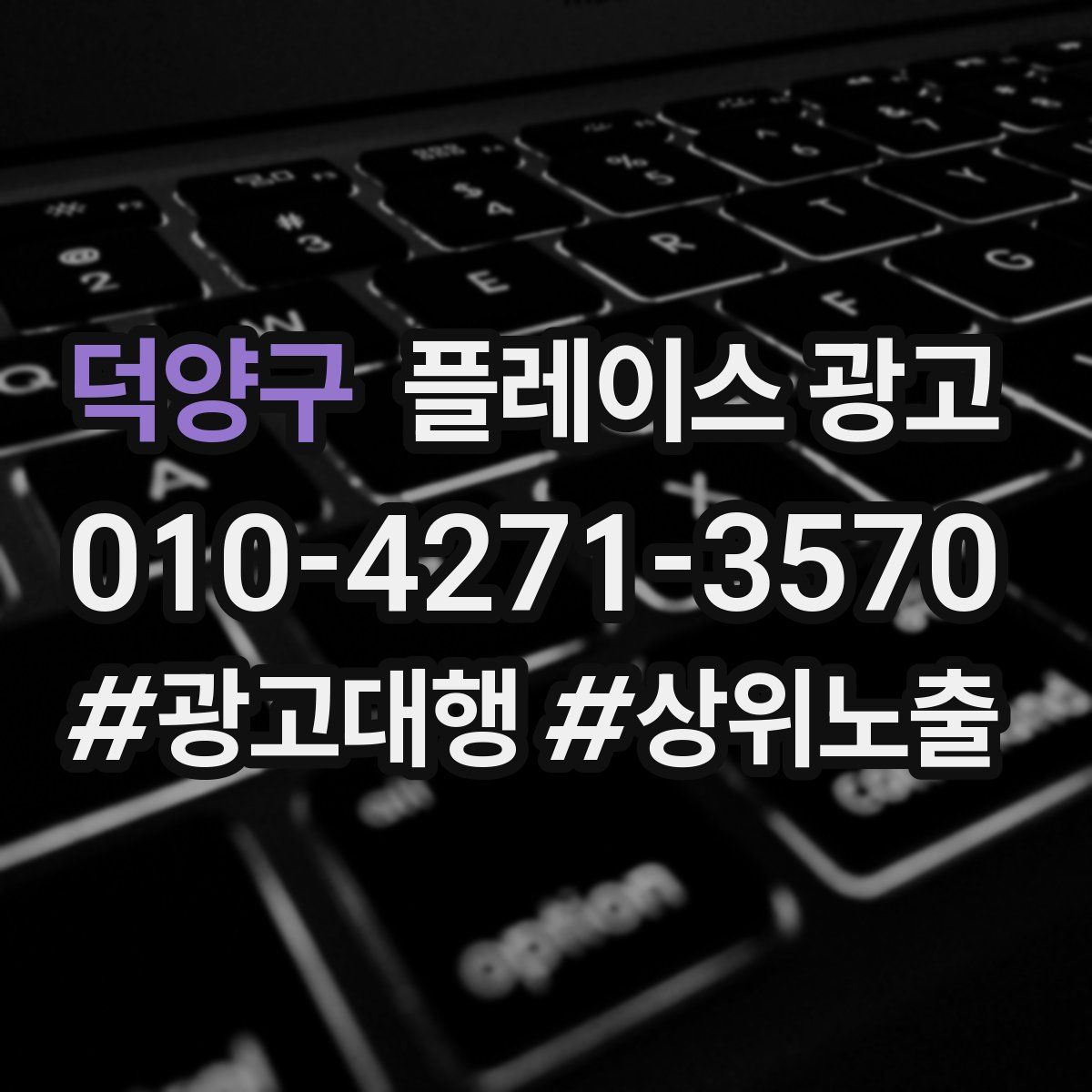 덕양구 플레이스 광고