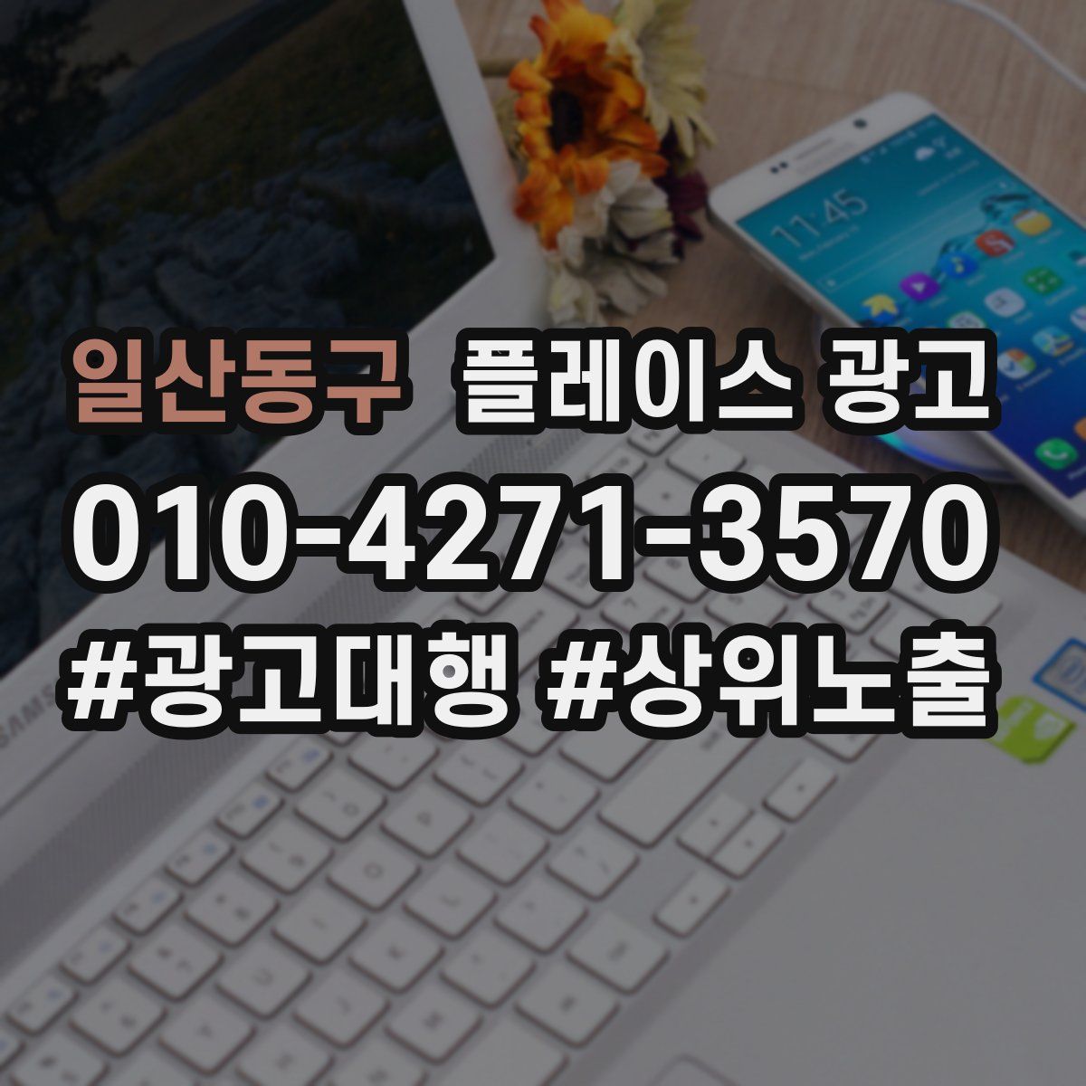 일산동구 플레이스 광고