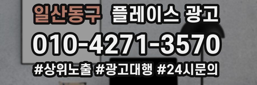 일산동구 플레이스 광고