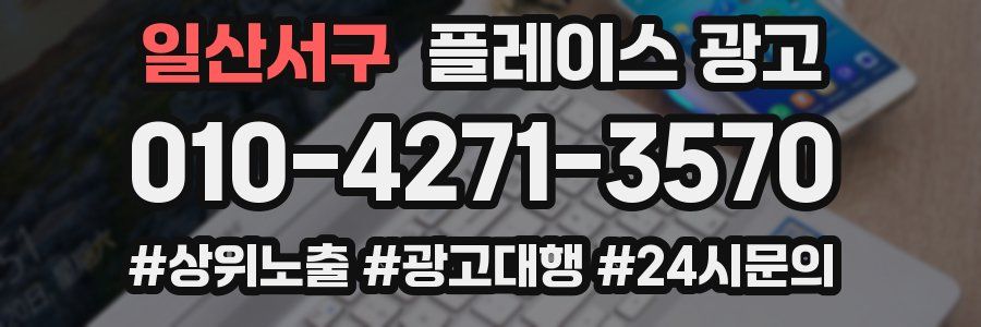 일산서구 플레이스 광고