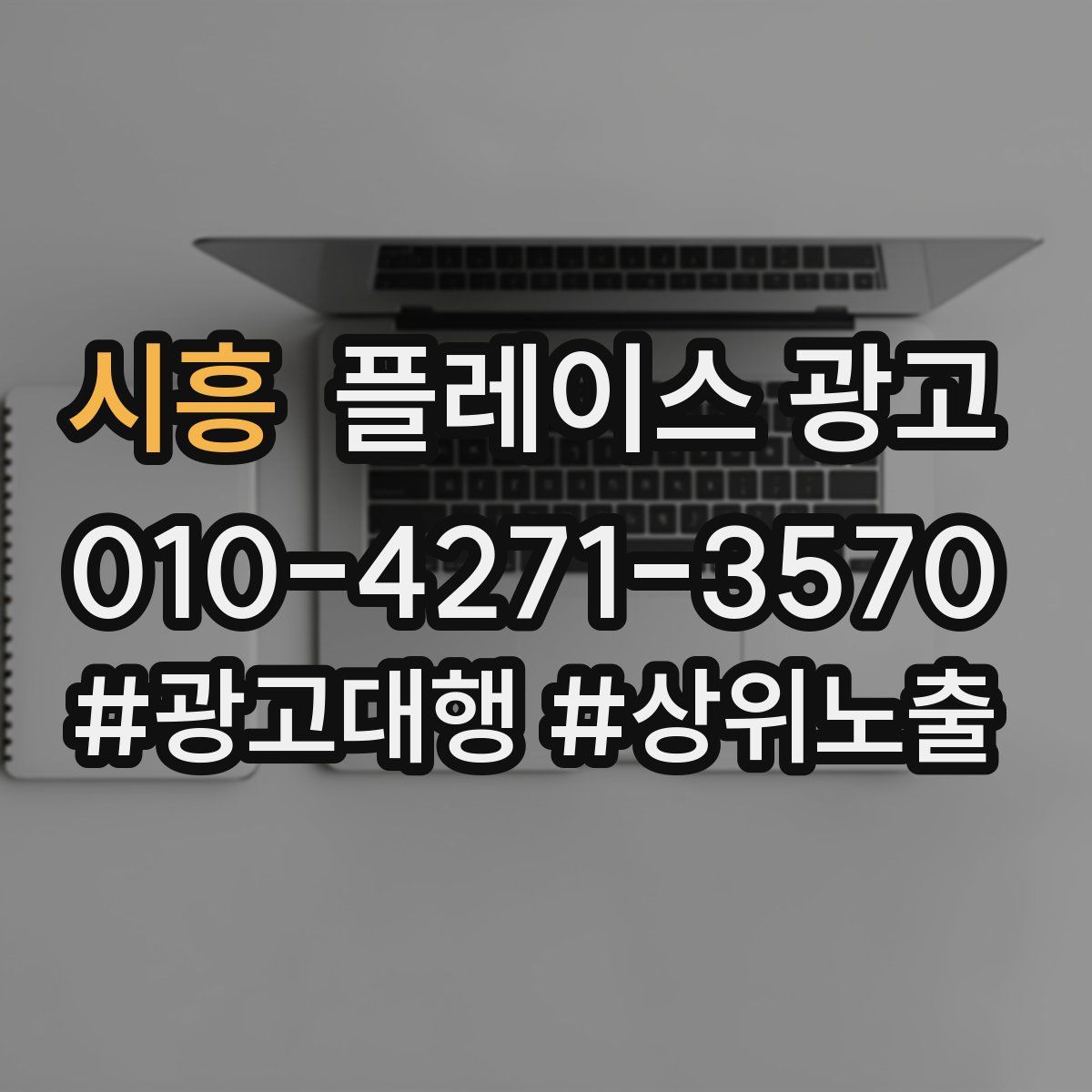 시흥 플레이스 광고