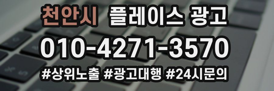 천안시 플레이스 광고