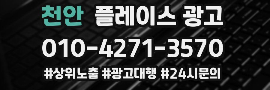 천안 플레이스 광고