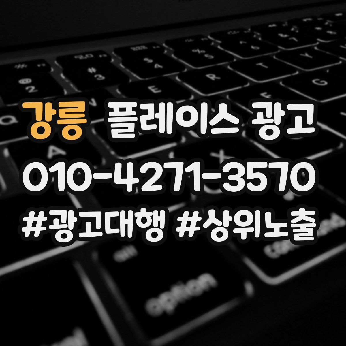 강릉 플레이스 광고