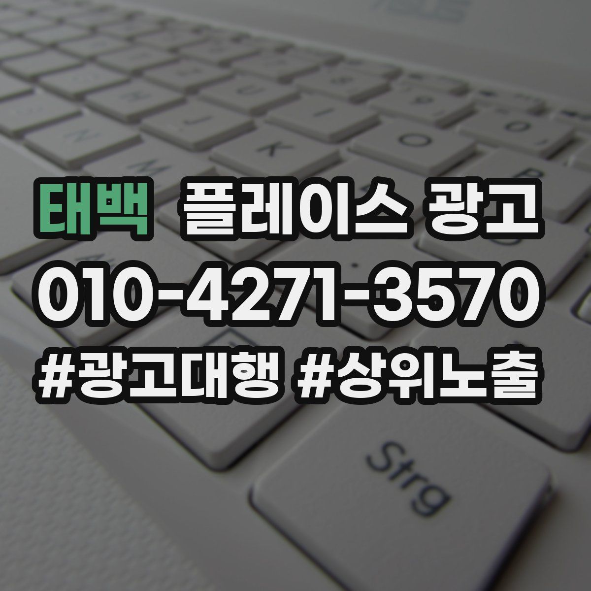 태백 플레이스 광고