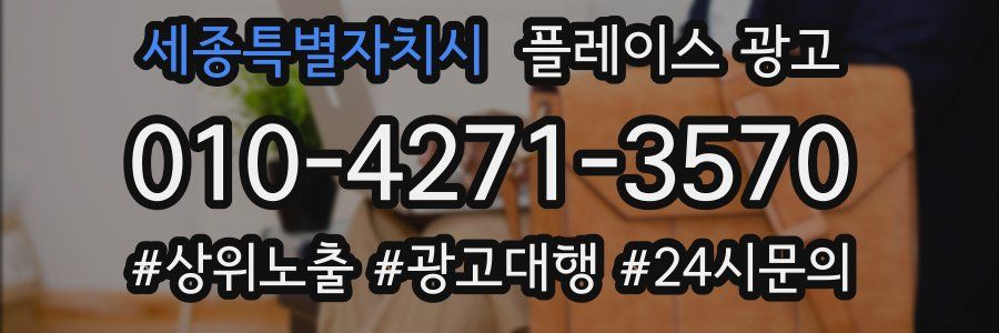 세종특별자치시 플레이스 광고