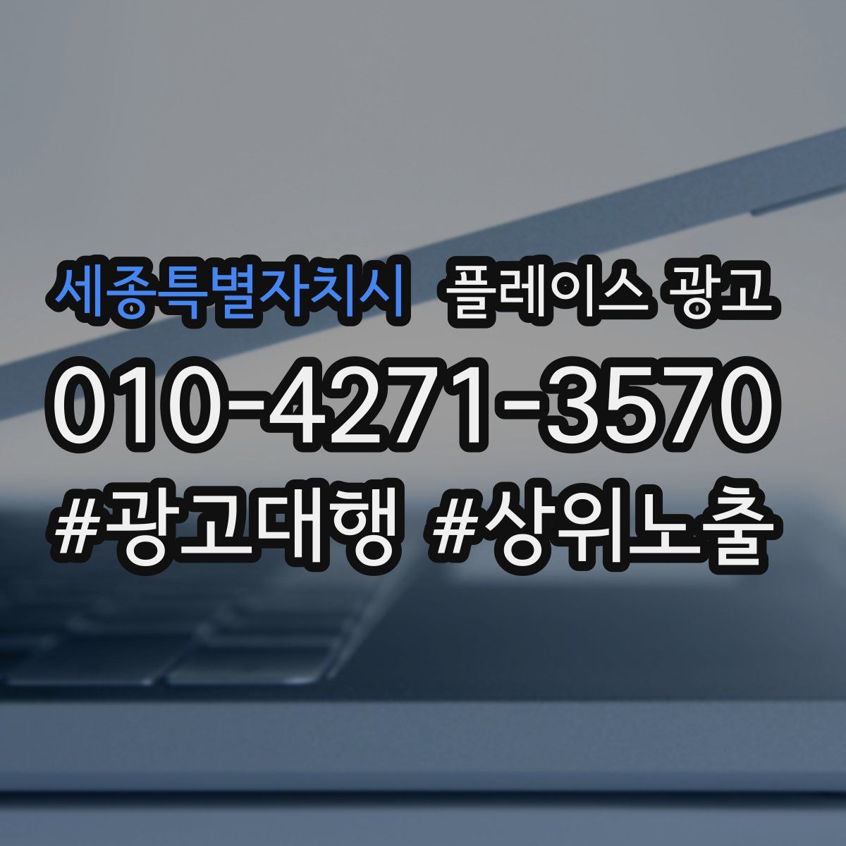 세종특별자치시 플레이스 광고