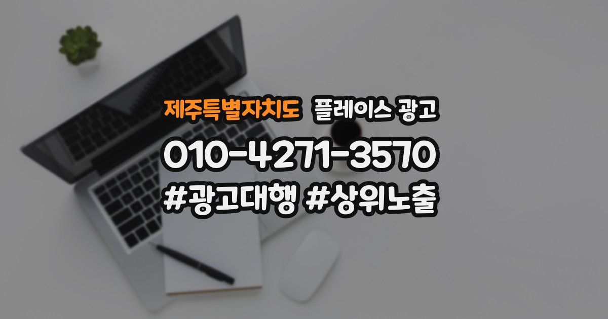 제주특별자치도 플레이스 광고