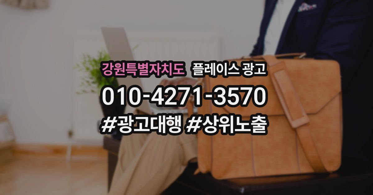 강원특별자치도 플레이스 광고