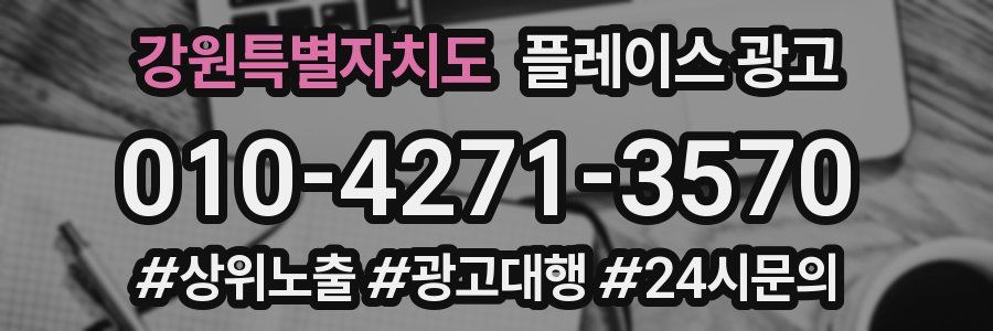 강원특별자치도 플레이스 광고