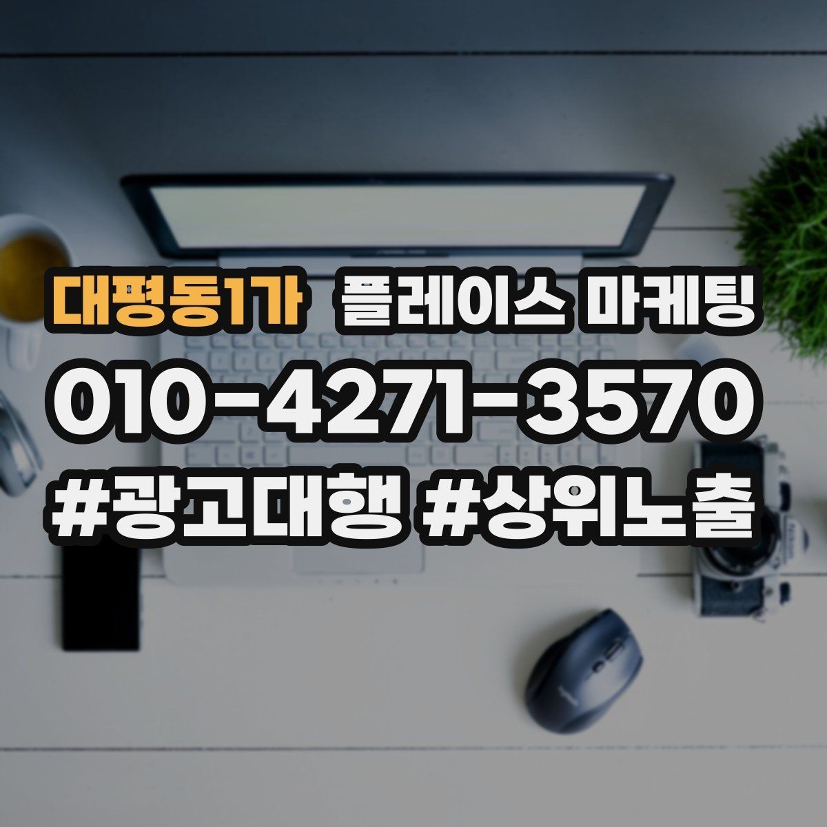 대평동1가 플레이스 마케팅 위치 핀이 틀리면 손해 보는 이유
