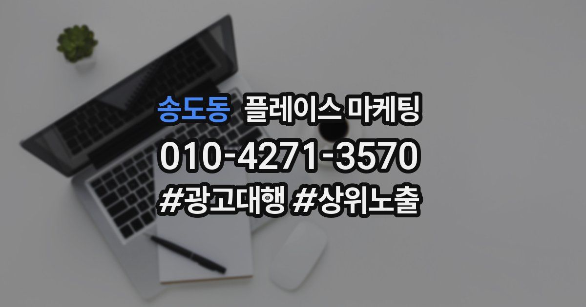 송도동 플레이스 마케팅