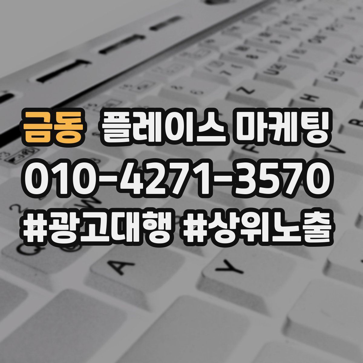 금동 플레이스 마케팅