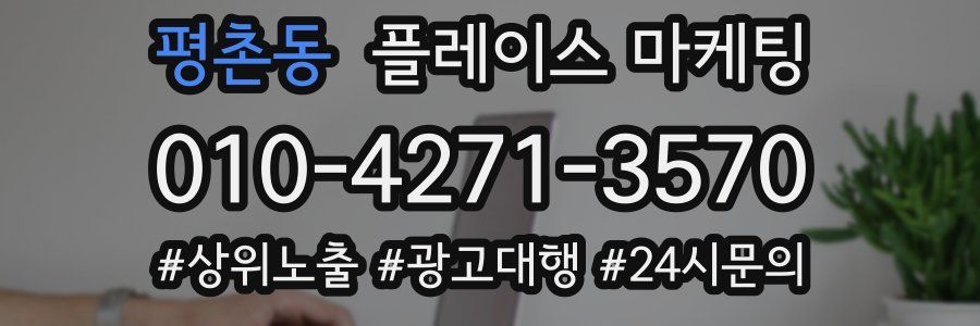 평촌동 플레이스 마케팅