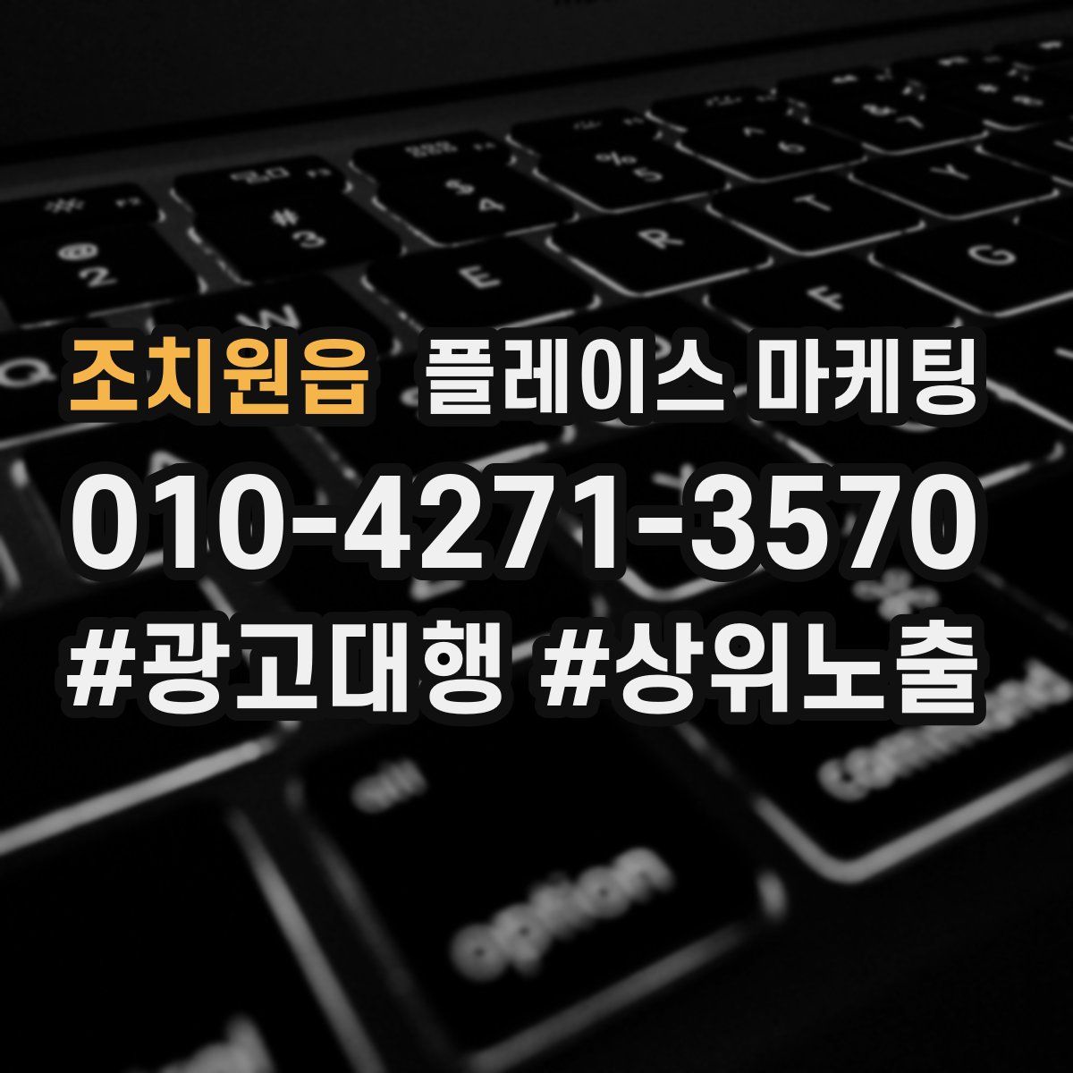조치원읍 플레이스 마케팅