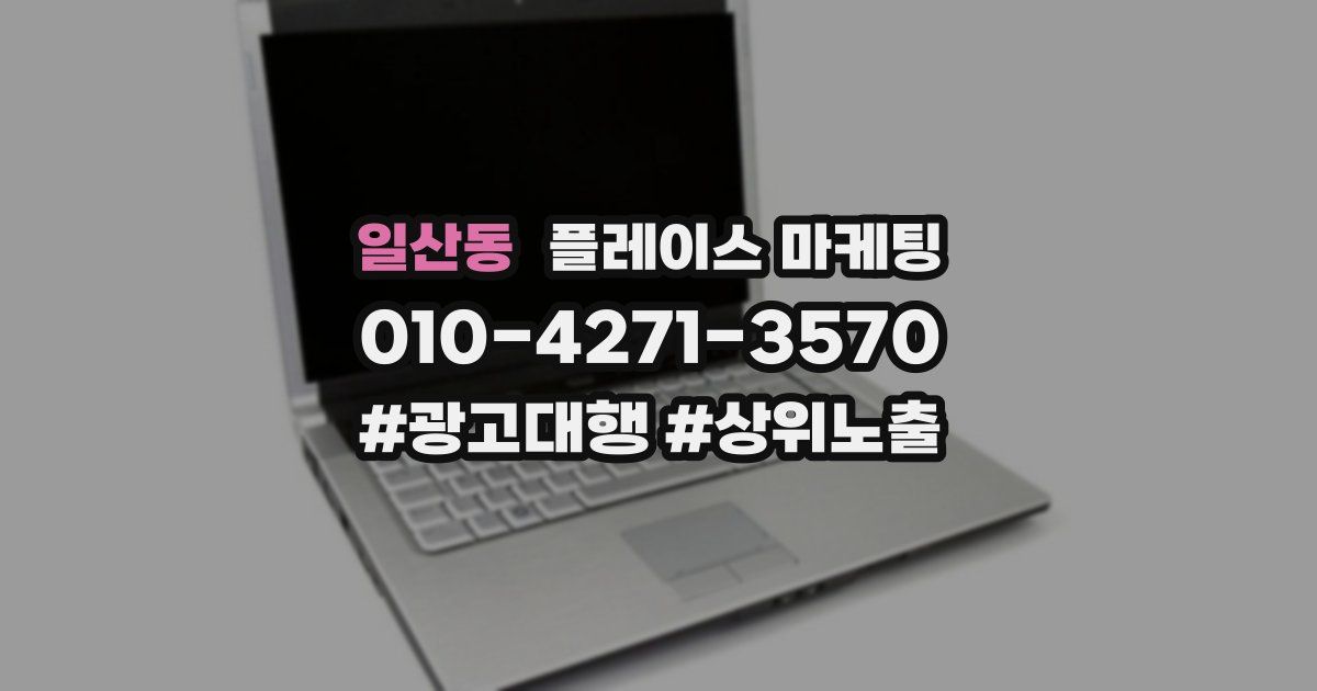 일산동 플레이스 마케팅