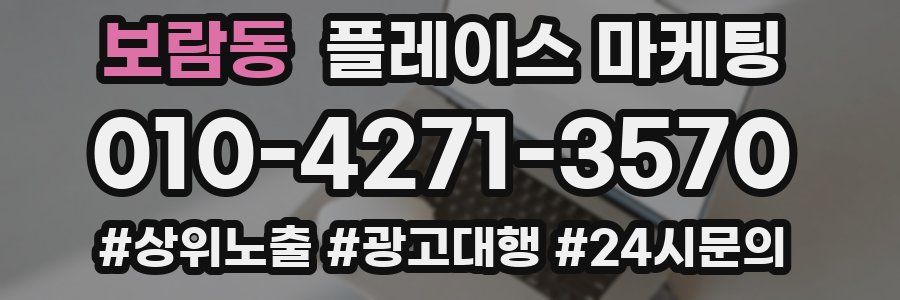 보람동 플레이스 마케팅