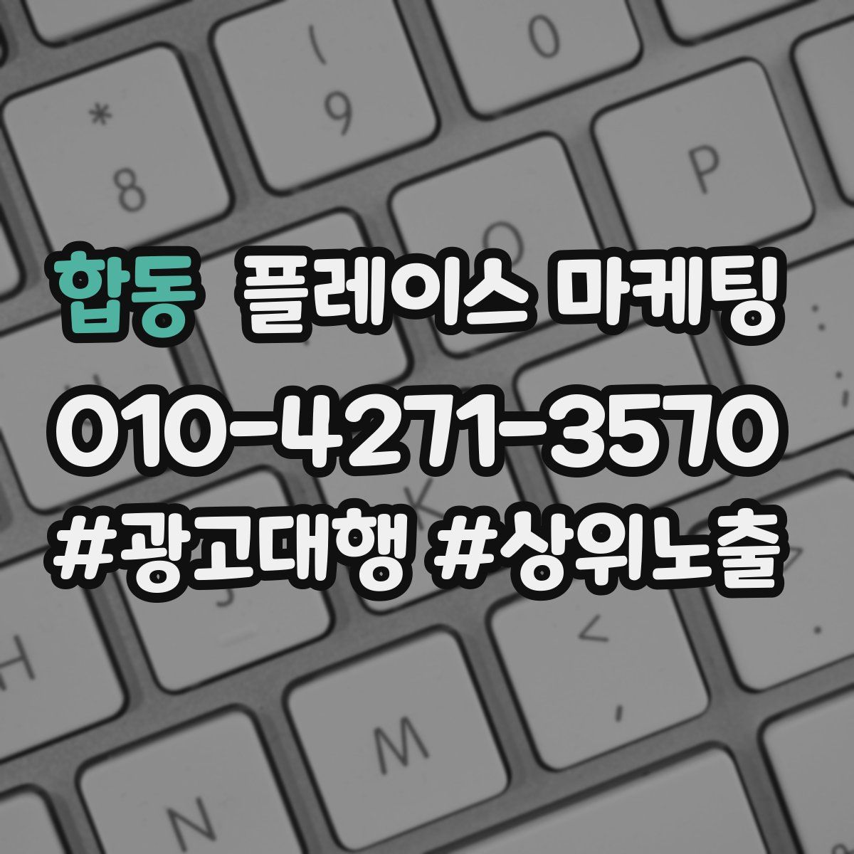 합동 플레이스 마케팅