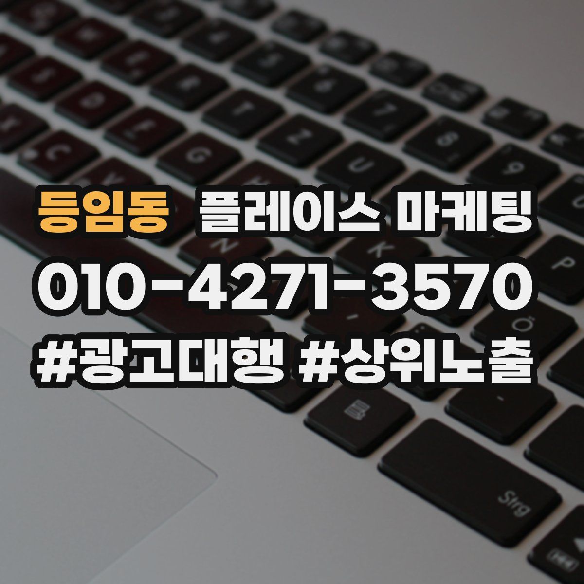 등임동 플레이스 마케팅