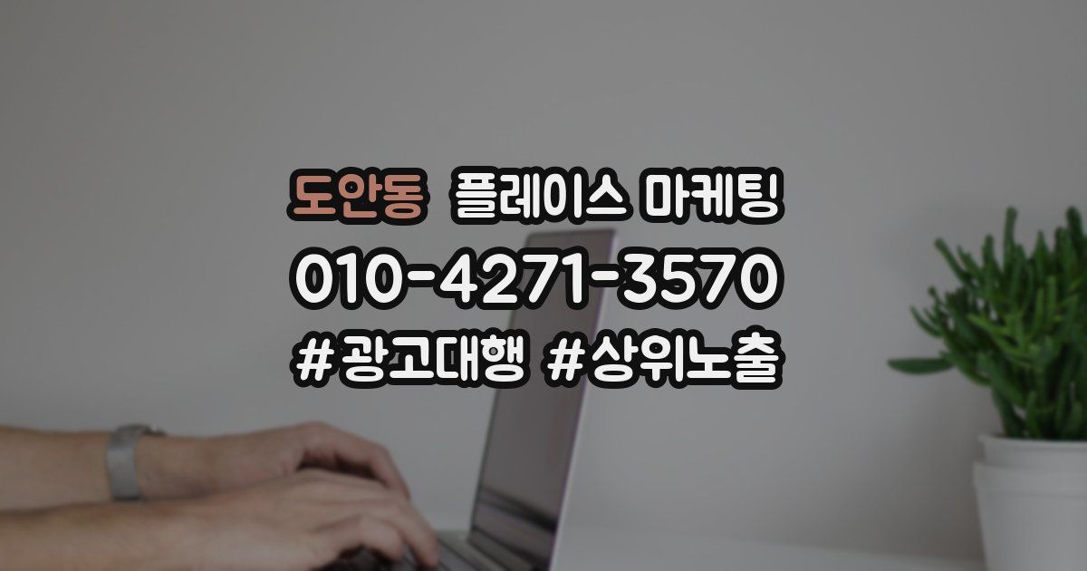 도안동 플레이스 마케팅