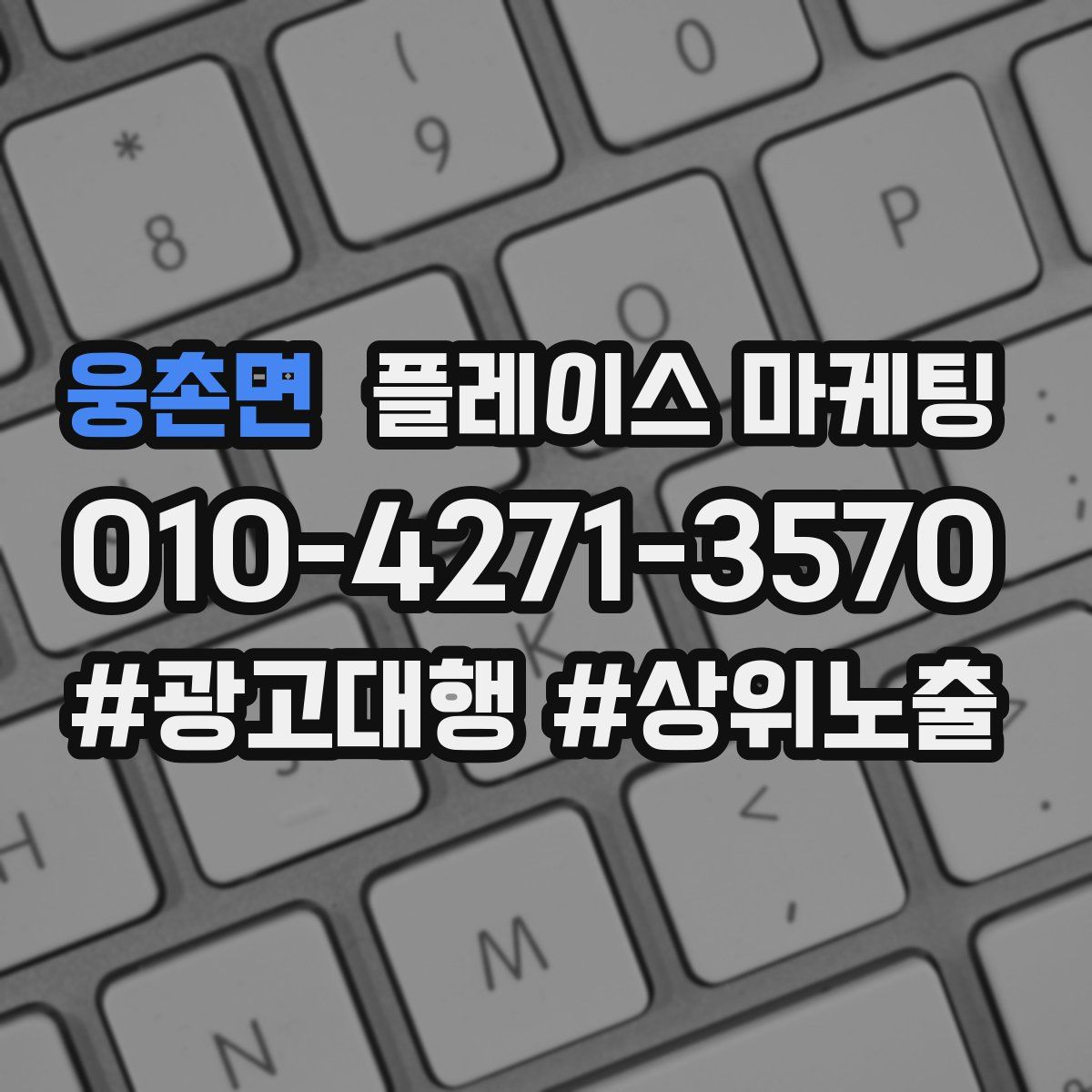 웅촌면 플레이스 마케팅