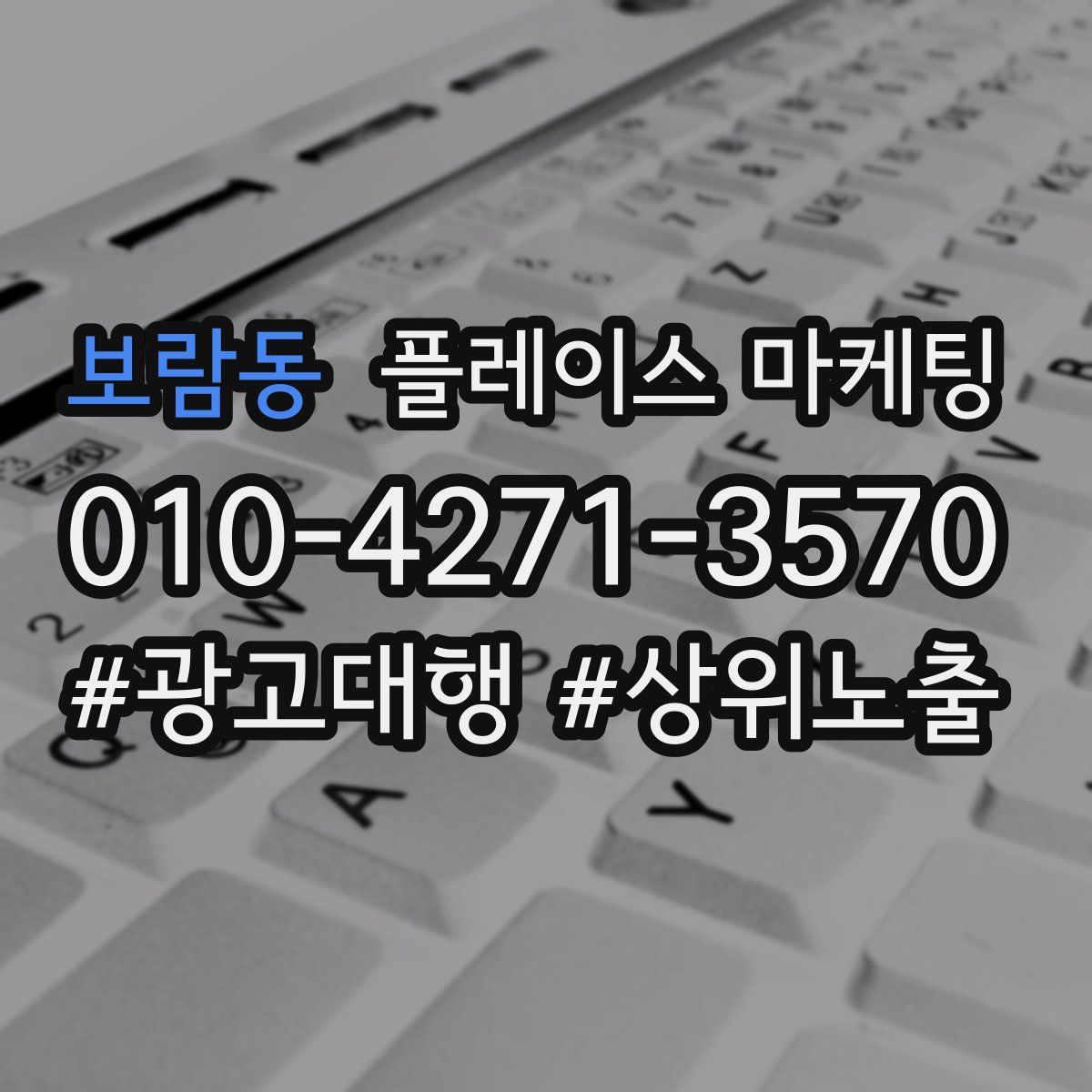 보람동 플레이스 마케팅