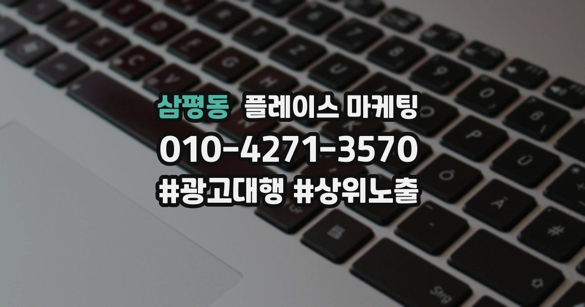 삼평동 플레이스 마케팅