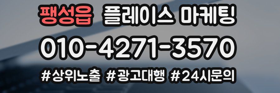 팽성읍 플레이스 마케팅