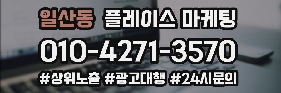 일산동 플레이스 마케팅